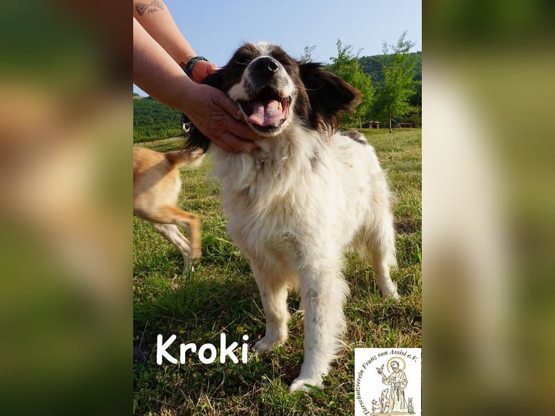 Kroki – Ein Blick, der genügt