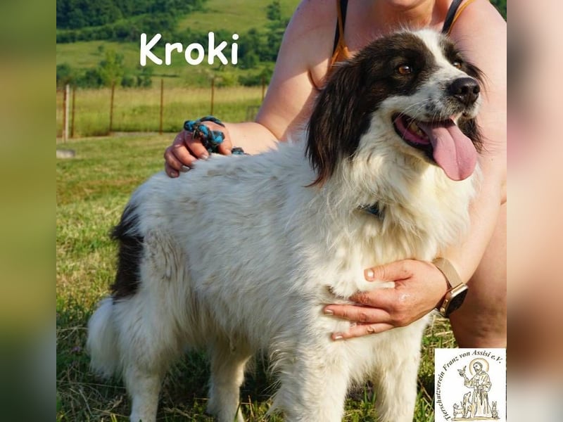 Kroki – Ein Blick, der genügt
