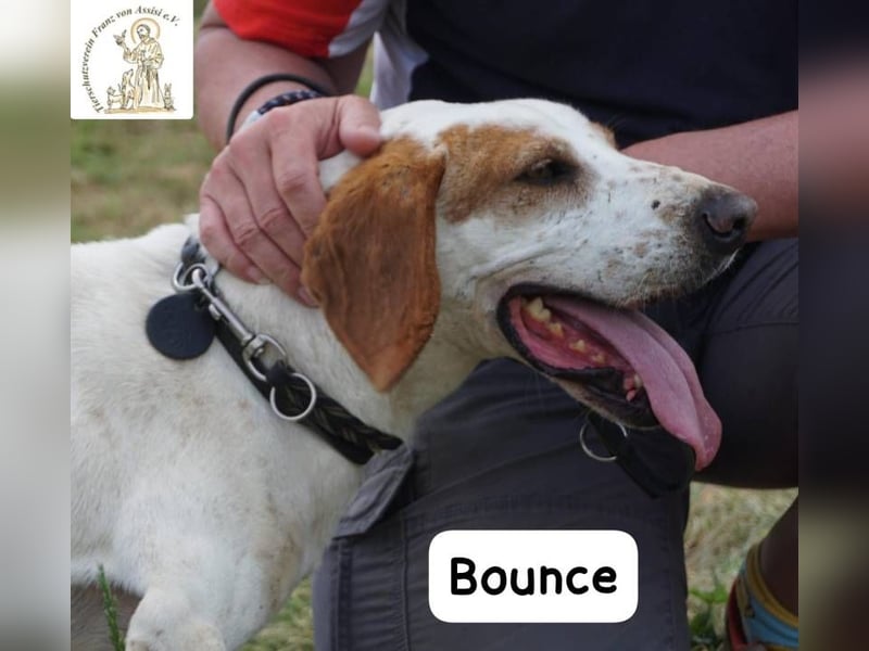 Bounce- Hummeln im Hintern & Sonne im Herzen!