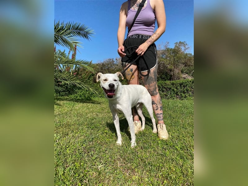 Lucky sucht noch nach seinem Glück
