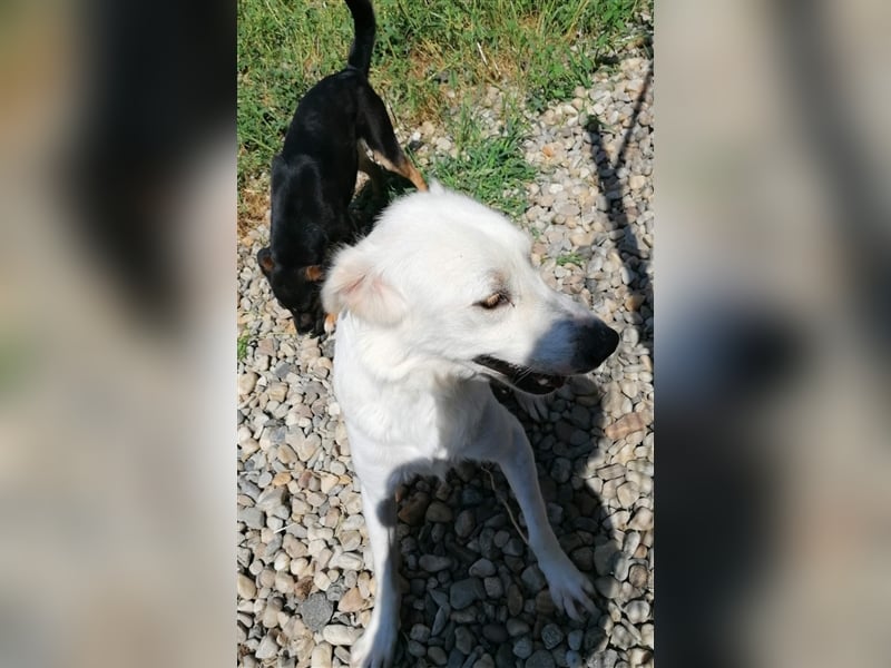 Yuki