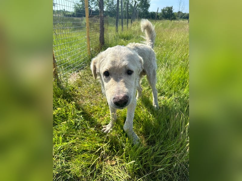 Freddy...einsames Herz sucht seine Familie
