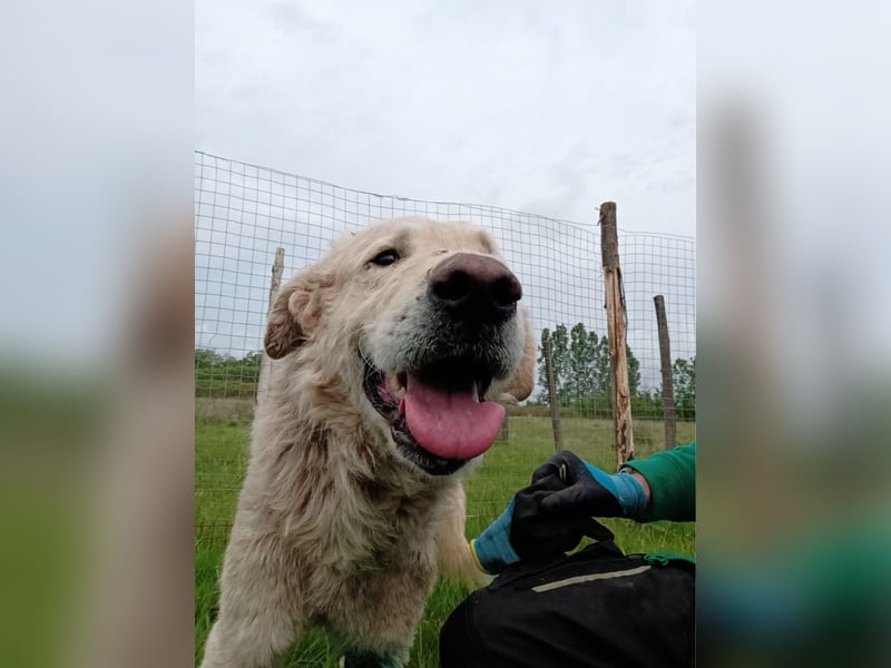 Freddy...einsames Herz sucht seine Familie