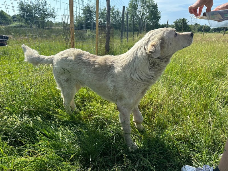Freddy...einsames Herz sucht seine Familie
