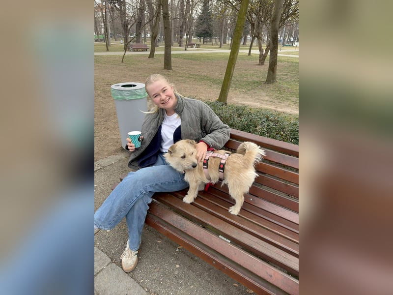 Kleiner David sucht seine Familie