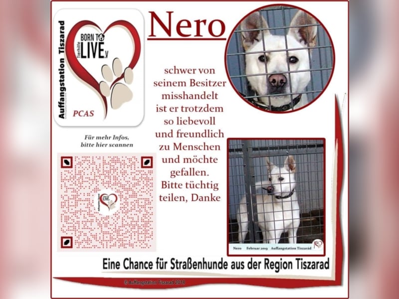 Nero