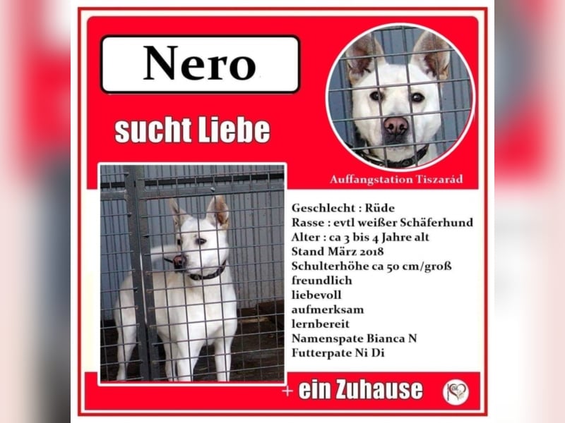 Nero