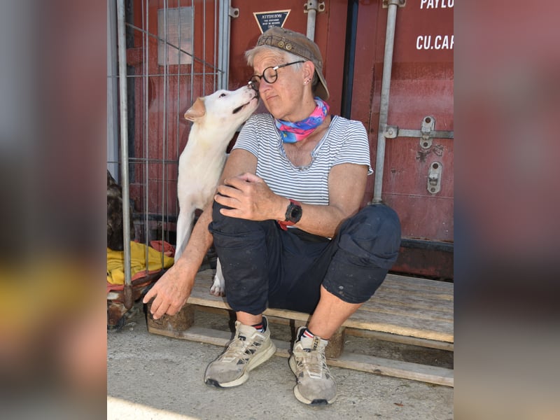 Ulisse: Gute Laune Hund für die Familie