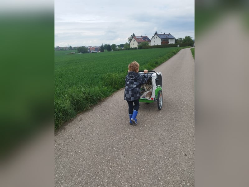 Pasquale sucht warmen Platz! - 86609 Donauwörth