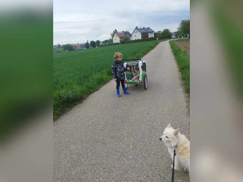 Pasquale sucht warmen Platz! - 86609 Donauwörth