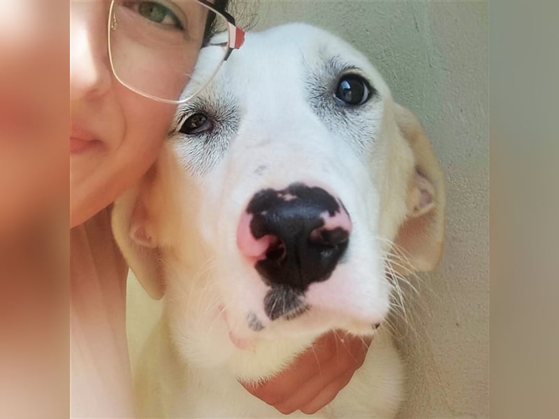 Benji – hundliche ‚Größe‘ in jeder Hinsicht