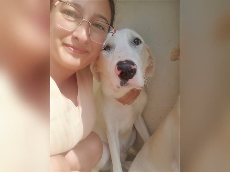 Benji – hundliche ‚Größe‘ in jeder Hinsicht