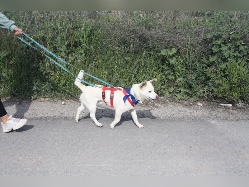 BLANQUI