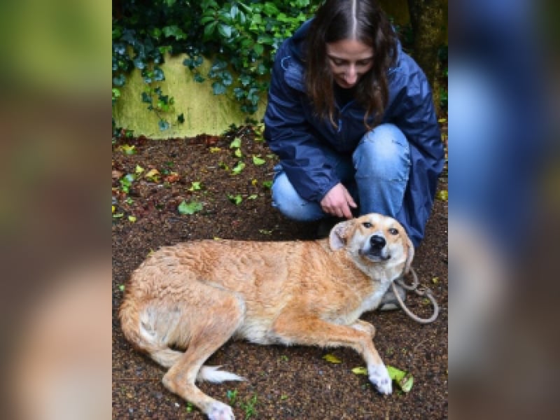 Remmy - ...bleibt ganz alleine zurück......