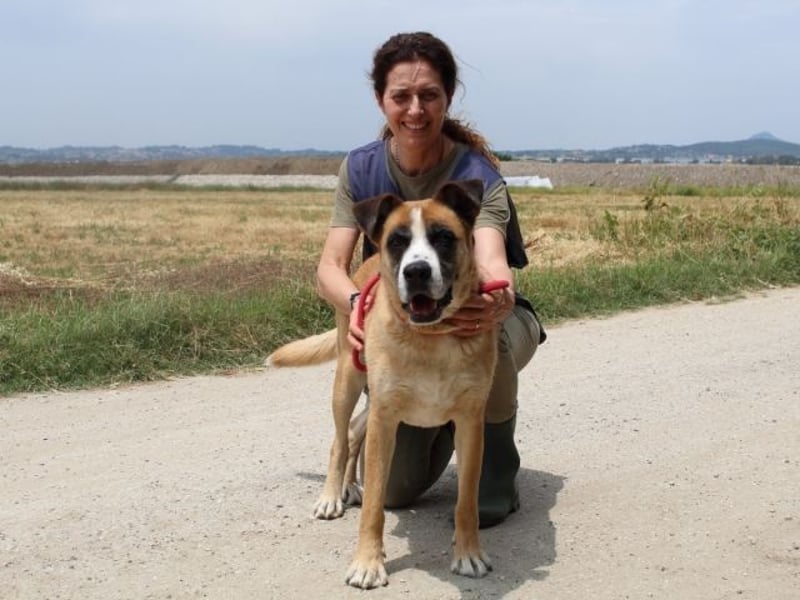Bobbie - vor Freude strahlen sollen seine Augen
