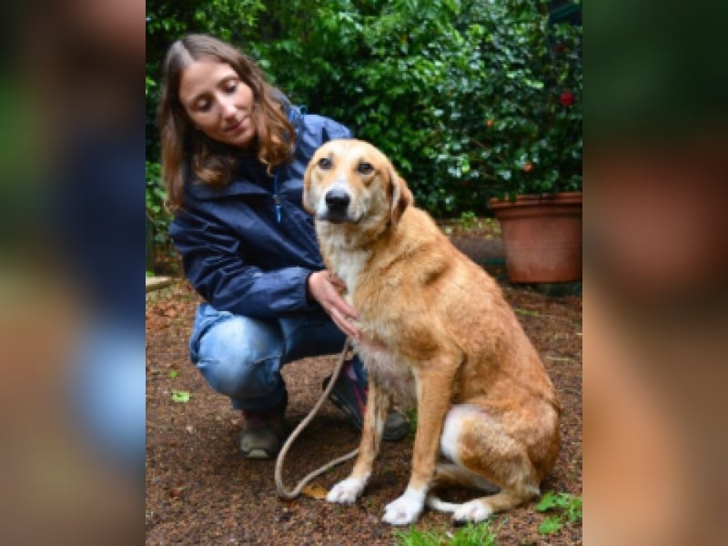 Remmy - ...bleibt ganz alleine zurück......