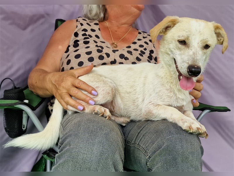 Buddy - aufgeschlossen und neugierig