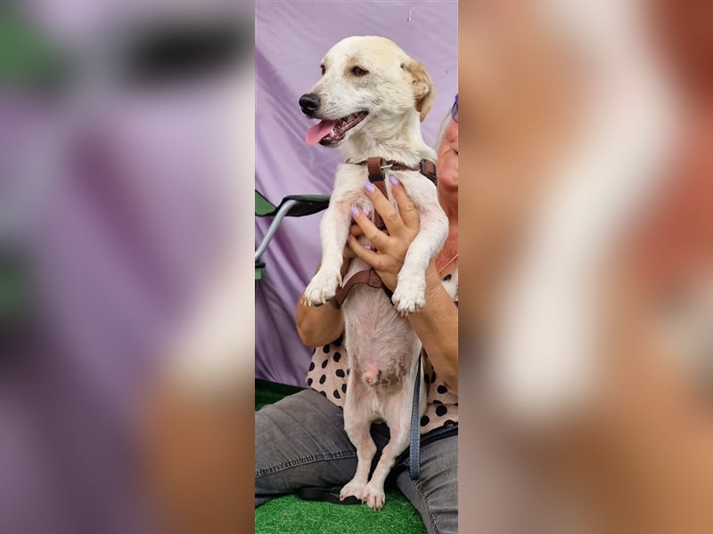 Buddy - aufgeschlossen und neugierig