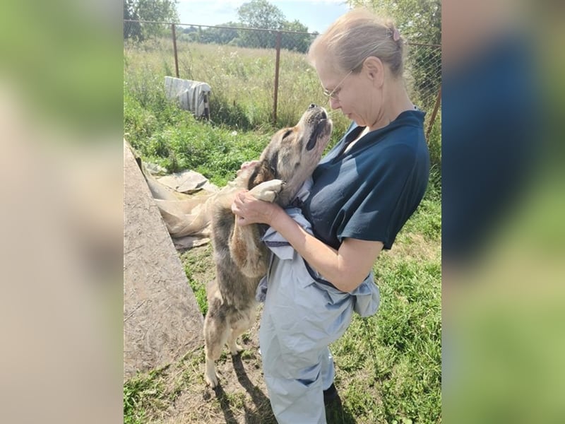 Kubik❤️es bedeutet Würfel - sucht kompetentes liebevolles Zuhause auf Lebenszeit