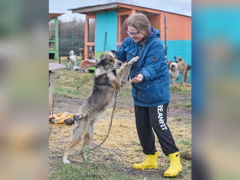 Freundlicher Kettenhund Kubik❤️sucht endlich Pflege- oder Endstelle