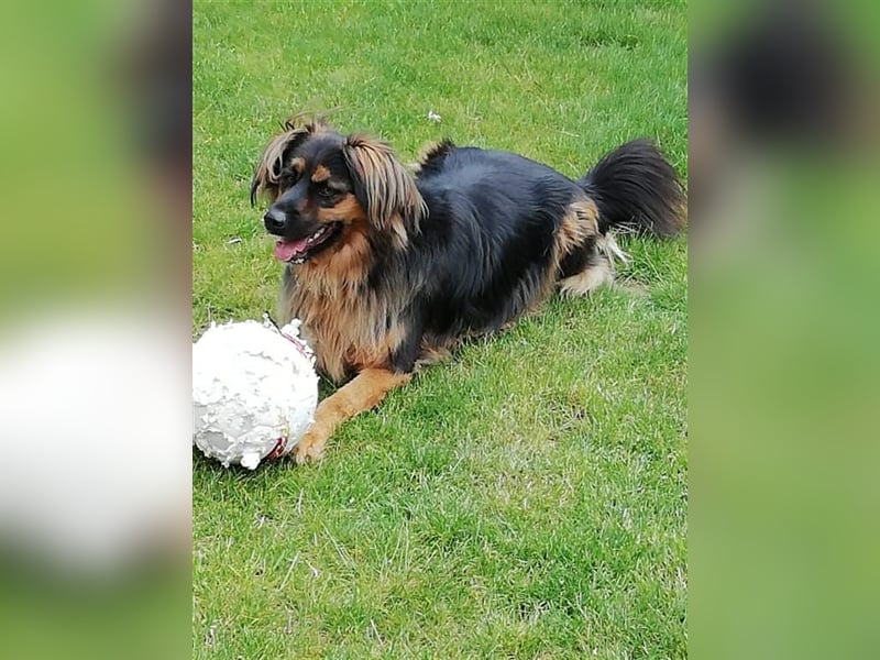 ... ja … DICH such ich ... ❣️