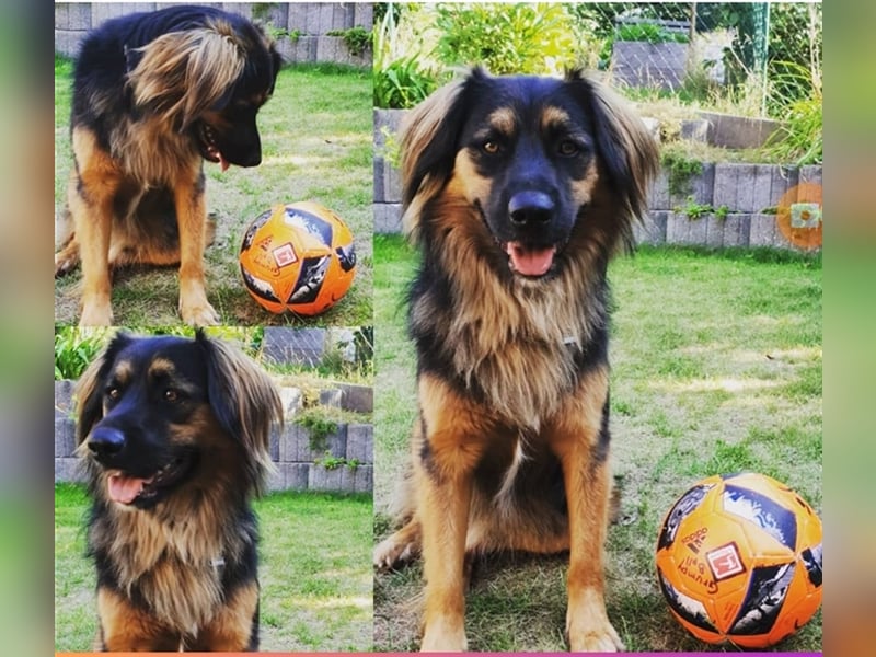 ... ja … DICH such ich ... ❣️