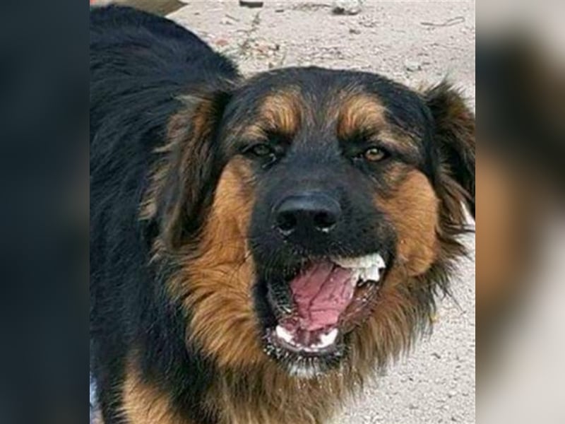 ... ja … DICH such ich ... ❣️