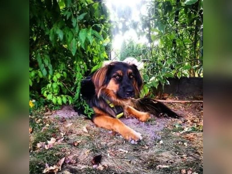 ... ja … DICH such ich ... ❣️