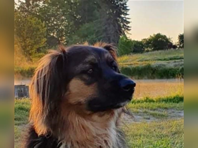 ... ja … DICH such ich ... ❣️