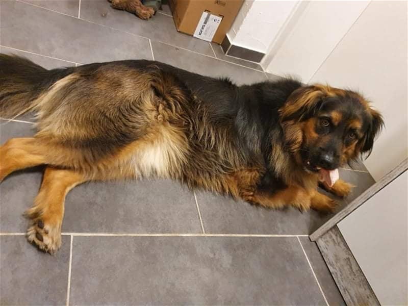 ... ja … DICH such ich ... ❣️