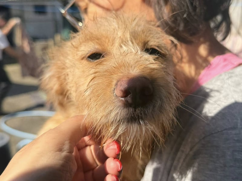 PENNY sucht ein liebevolles Daheim