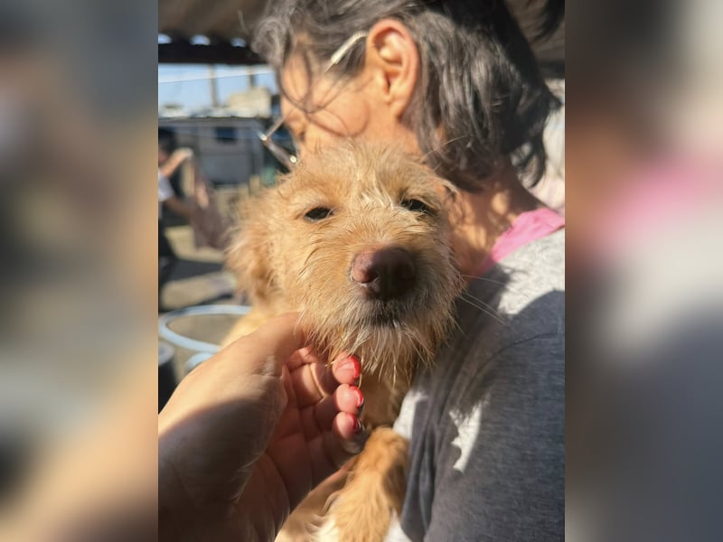 PENNY sucht ein liebevolles Daheim