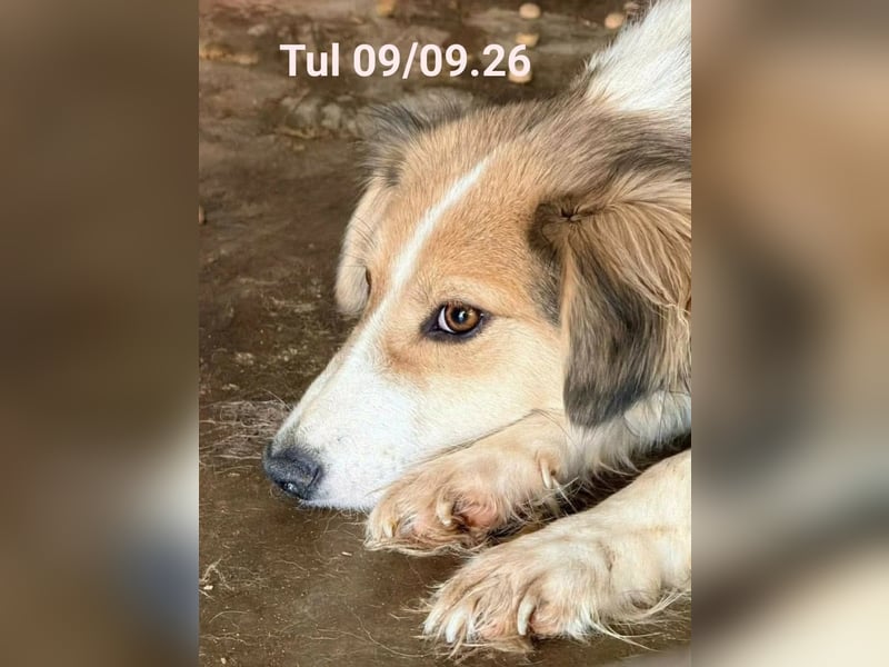 Hübsche Stella sucht ihr Glück 