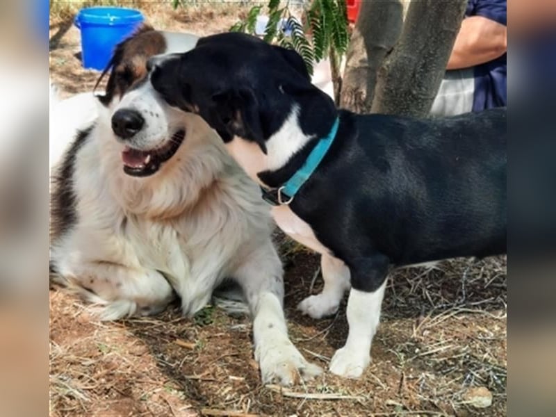 Fatima und Sevi - zwei ganz liebe Mädels