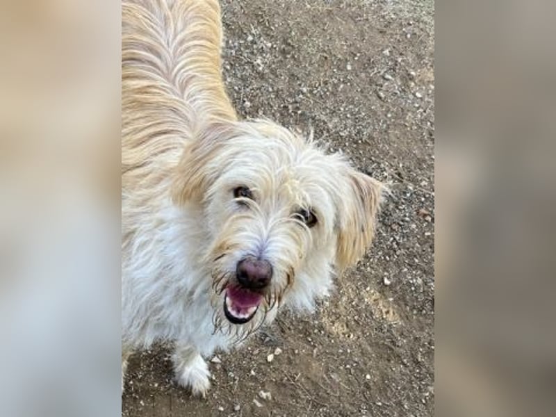 Cookie und Maya - Tochter/Mutter Dream Team