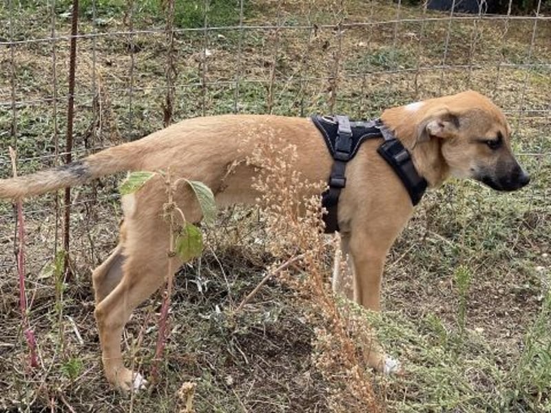 Eric - kleiner Racker sucht Familienanschluss Eric - kleiner Racker sucht Familienanschluss