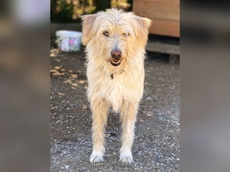 Cookie und Maya - Tochter/Mutter Dream Team