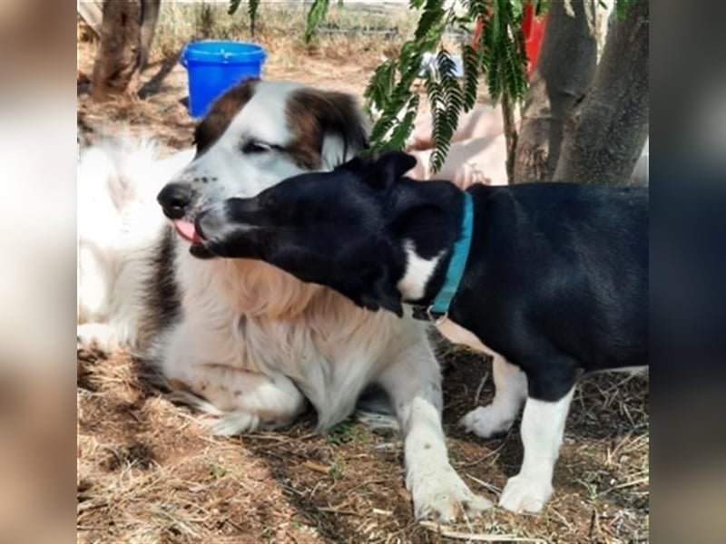 Fatima und Sevi - zwei ganz liebe Mädels