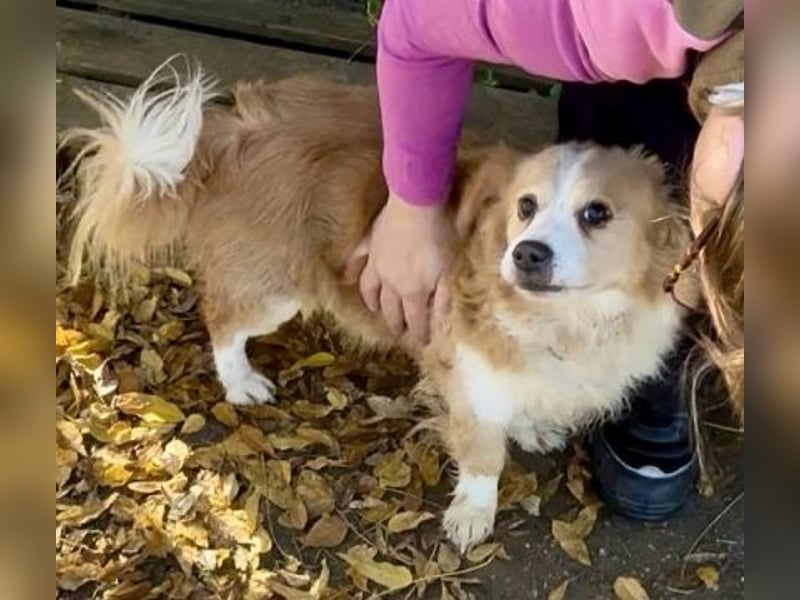 Dream Team Johnny und Max suchen gemeinsames Zuhause