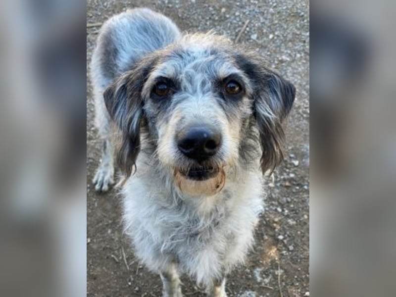 Cookie und Maya - Tochter/Mutter Dream Team