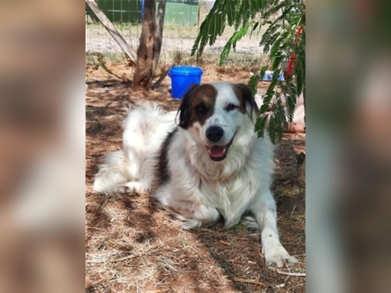 Fatima und Sevi - zwei ganz liebe Mädels