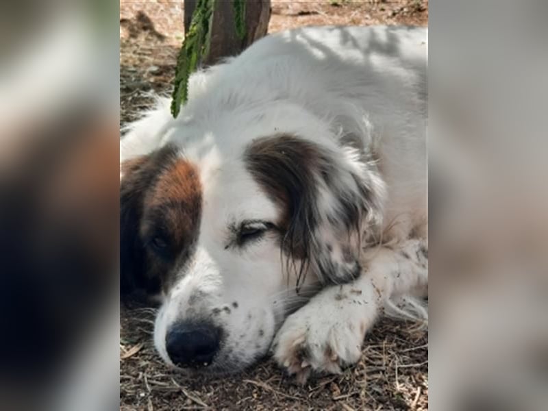 Fatima und Sevi - zwei ganz liebe Mädels