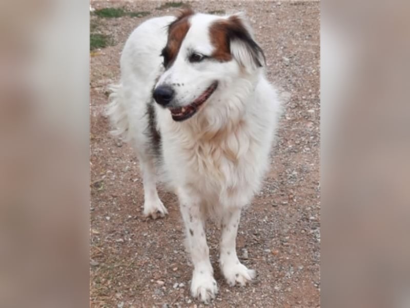 Fatima und Sevi - zwei ganz liebe Mädels