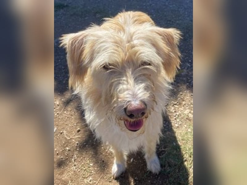 Cookie und Maya - Tochter/Mutter Dream Team