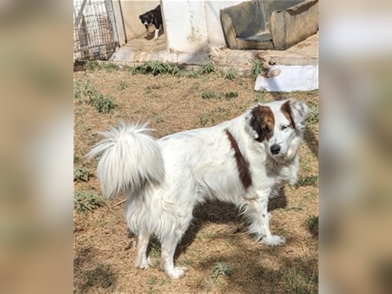 Fatima und Sevi - zwei ganz liebe Mädels