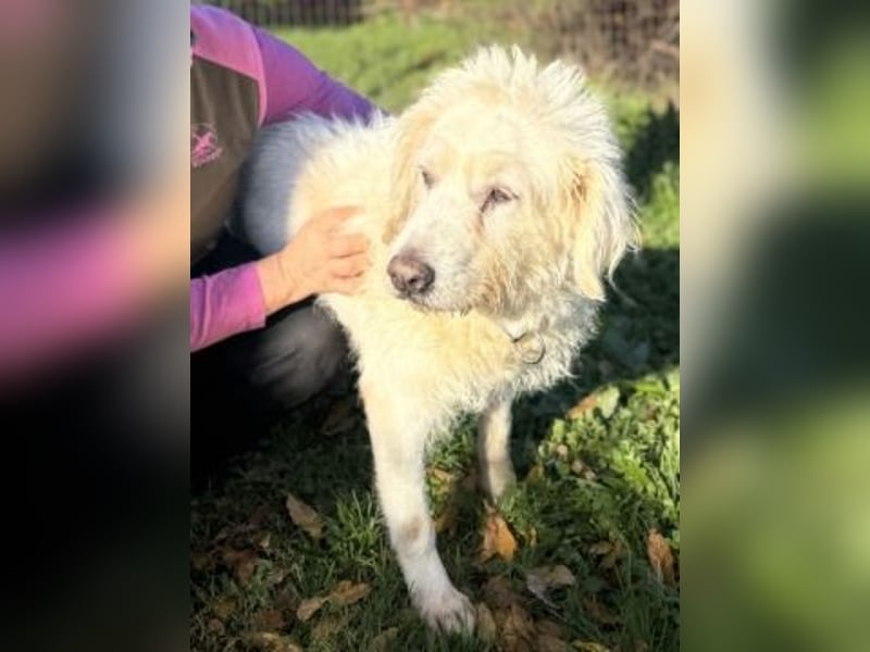 Dream Team Johnny und Max suchen gemeinsames Zuhause