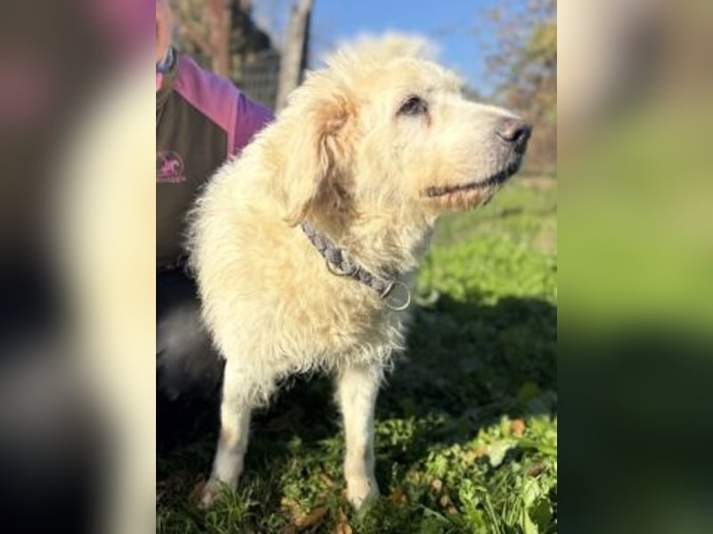 Dream Team Johnny und Max suchen gemeinsames Zuhause