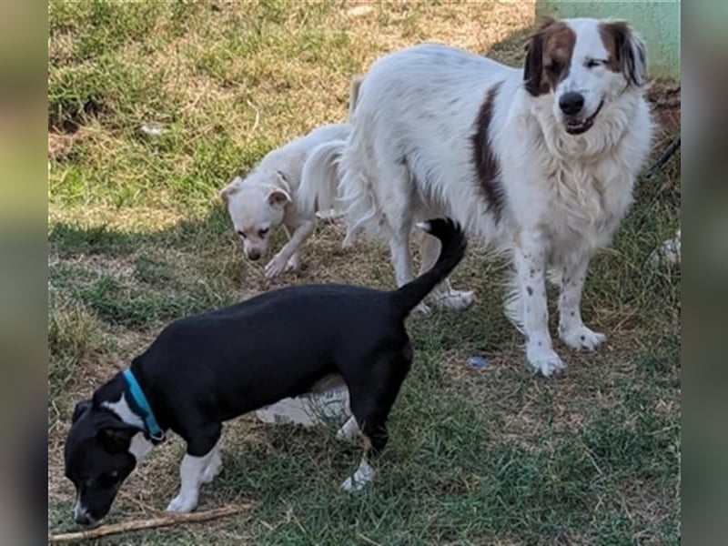 Fatima und Sevi - zwei ganz liebe Mädels