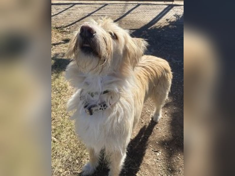 Cookie und Maya - Tochter/Mutter Dream Team