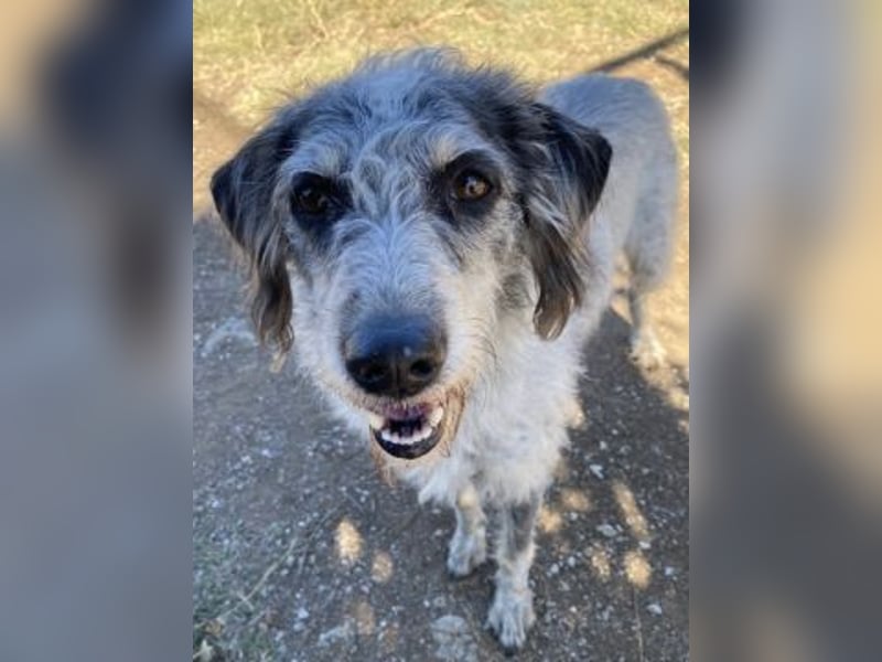 Cookie und Maya - Tochter/Mutter Dream Team